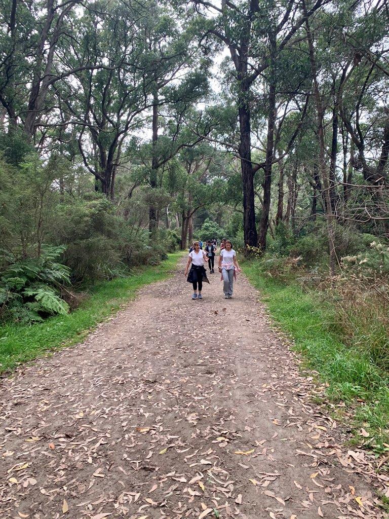 Red Hill Trail Red Hill Trail