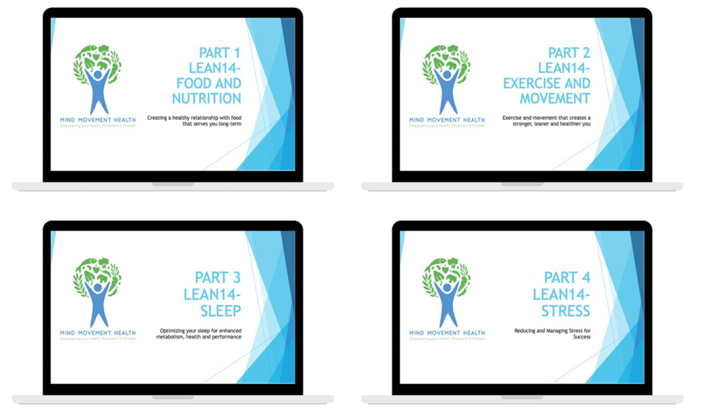 Lean-14 Training-Webinars x 4