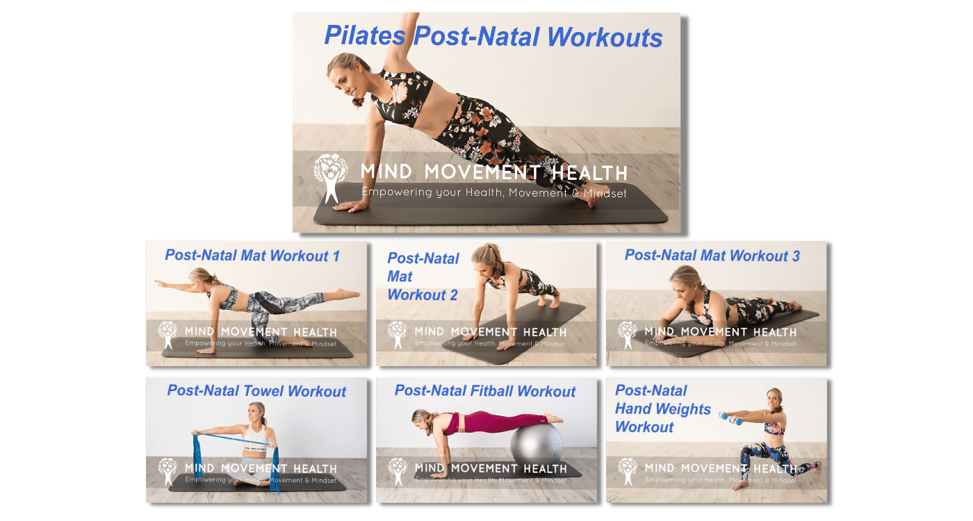 Post-Natal Video Series Product Image Post-Natal Video Series Product Image