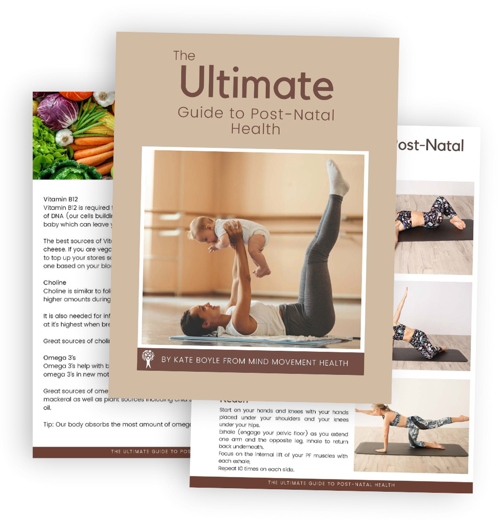 Ultimate Gude to Post-Natal Health Product Image